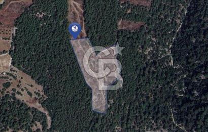 MUĞLA MENTEŞEDE 10 DÖNÜM TEK PARÇA TARLA