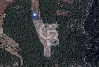 MUĞLA MENTEŞEDE 10 DÖNÜM TEK PARÇA TARLA - 2 - 336035