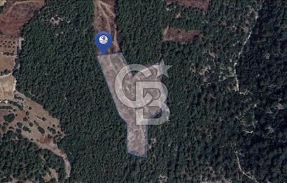 MUĞLA MENTEŞEDE 10 DÖNÜM TEK PARÇA TARLA