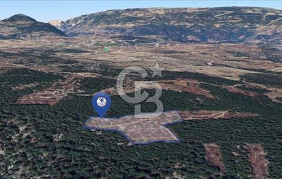 MUĞLA MENTEŞEDE 10 DÖNÜM TEK PARÇA TARLA