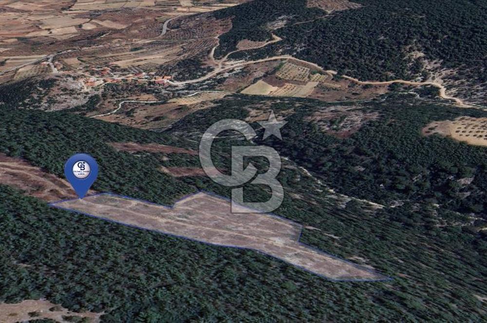 MUĞLA MENTEŞEDE 10 DÖNÜM TEK PARÇA TARLA