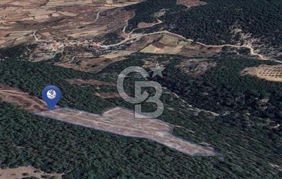 MUĞLA MENTEŞEDE 10 DÖNÜM TEK PARÇA TARLA