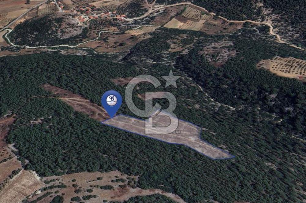 MUĞLA MENTEŞEDE 10 DÖNÜM TEK PARÇA TARLA