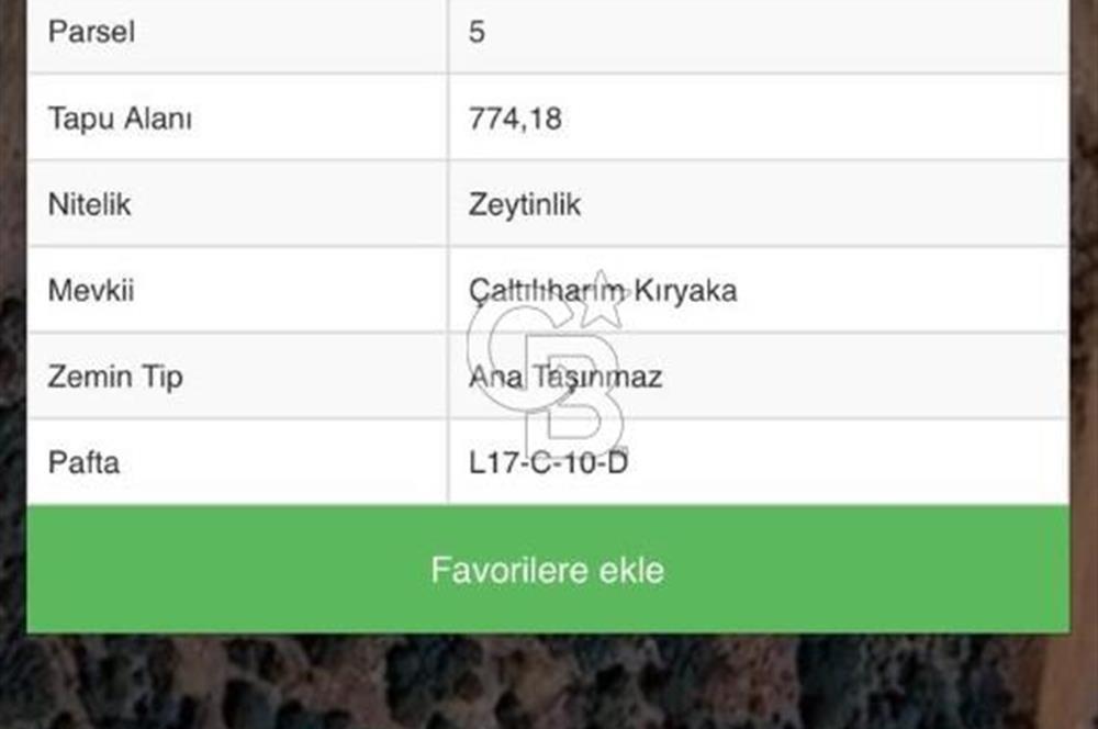 Seferihisar Orhanlı'da Satılık Zeytinlik
