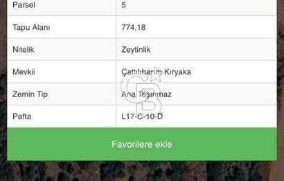 Seferihisar Orhanlı'da Satılık Zeytinlik