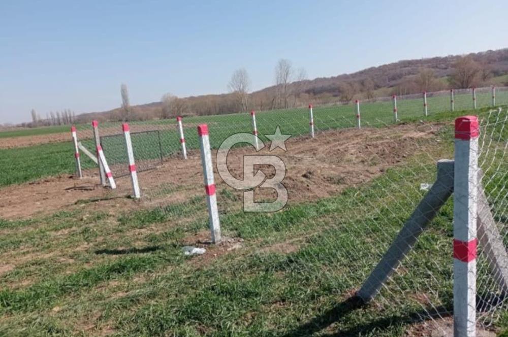LÜLEBURGAZ ERTUĞRULDA ANA YOLA YAKIN TARLA