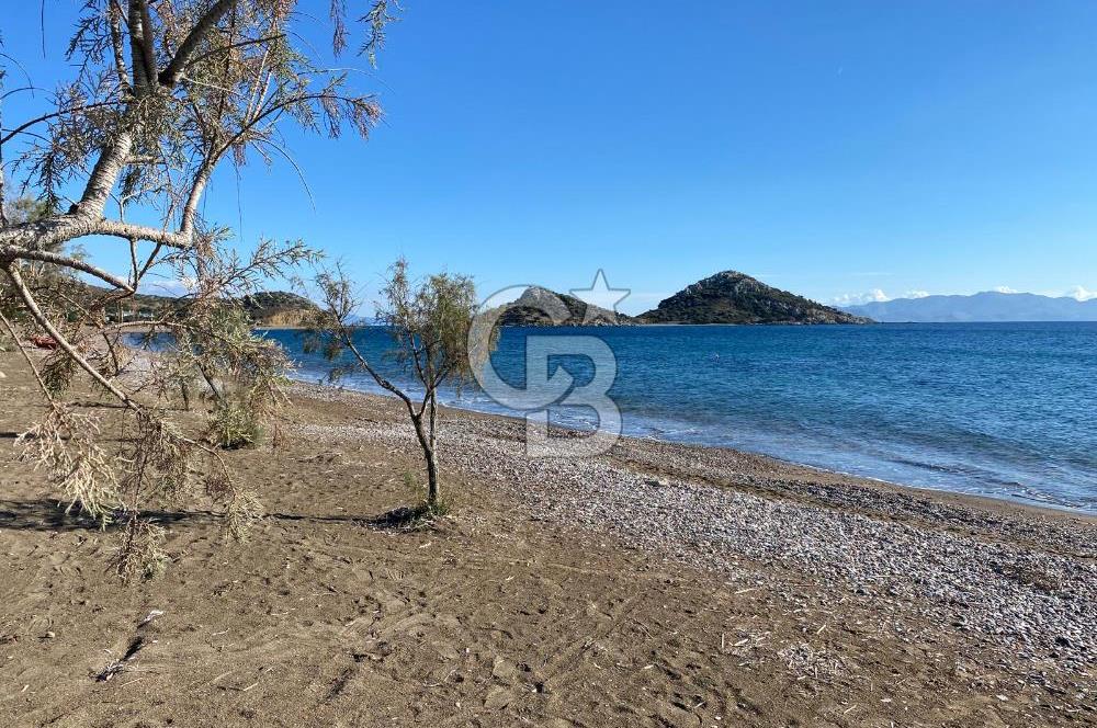 Denize Sıfır Raykent Sitesinde 1+1 Yazlık Daire - Üst Kat