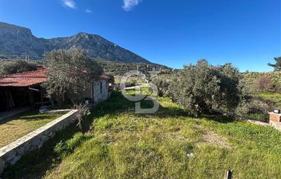 DATÇA HIZIRŞAH DOGA İÇİNDE YILLIK KİRALIK OTANTİK BAG EVİ