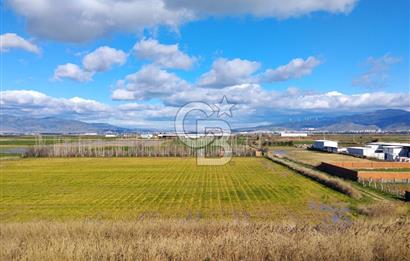 SEYREK'TE KÖŞE FERAH ÖNÜ AÇIK SIFIR EŞYALI KİRALIK 1+1 DAİRE