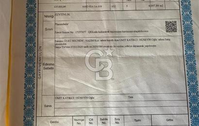 DATÇA HIZIRŞAH DOGA İÇİNDE YILLIK KİRALIK OTANTİK BAG EVİ