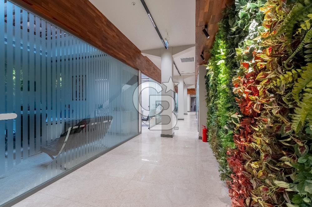 Alsancak'ta Tarihi Binada 520 m² Net Kurumsala Kiralık Ofis