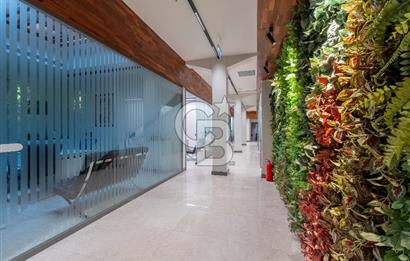 Alsancak'ta Tarihi Binada 520 m² Net Kurumsala Kiralık Ofis