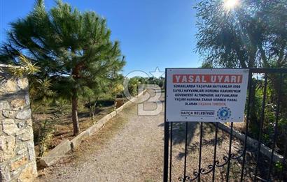 Denize Sıfır Raykent Sitesinde 1+1 Yazlık Daire - Üst Kat