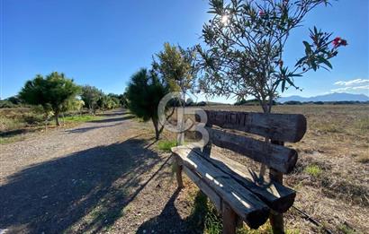 Denize Sıfır Raykent Sitesinde 1+1 Yazlık Daire - Üst Kat