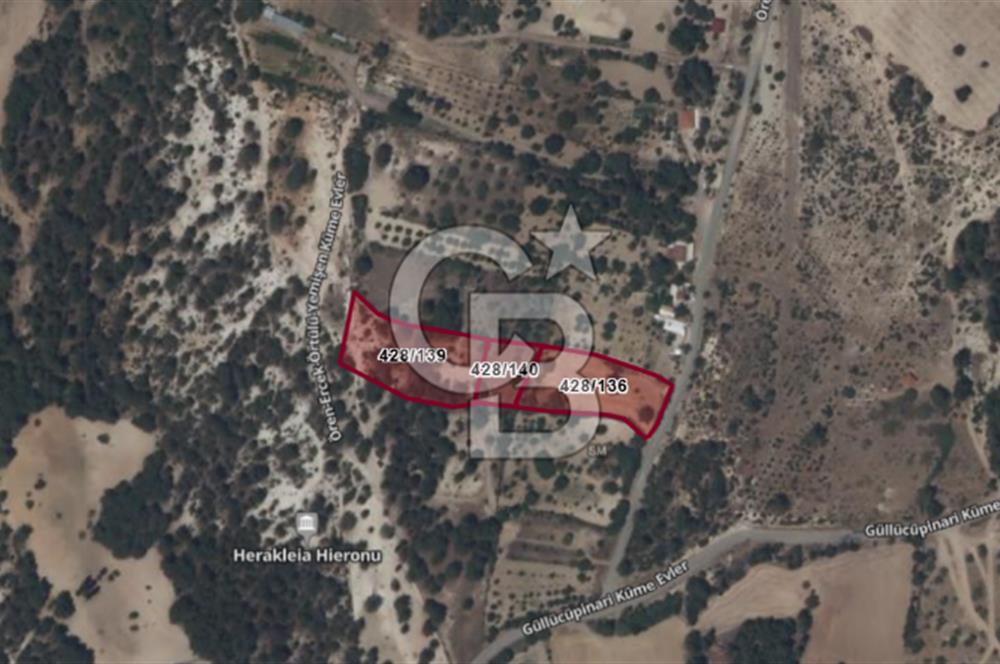 Tavas Kızılcabölük Toplam 8.802 M² Satılık Tarla