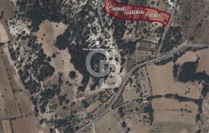 Tavas Kızılcabölük Toplam 8.802 M² Satılık Tarla