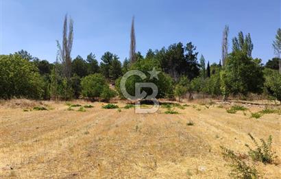 Tavas Kızılcabölük Toplam 8.802 M² Satılık Tarla