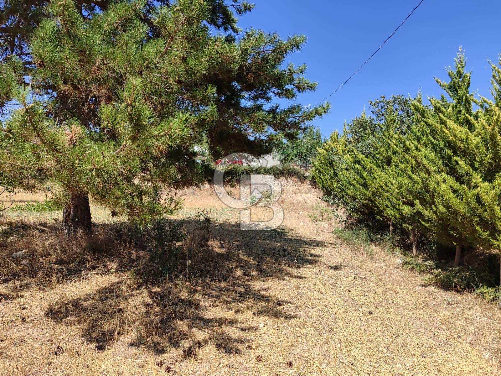 Tavas Kızılcabölük Toplam 8.802 M² Satılık Tarla