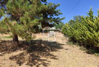 Tavas Kızılcabölük Toplam 8.802 M² Satılık Tarla - 1 - 336040