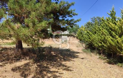 Tavas Kızılcabölük Toplam 8.802 M² Satılık Tarla