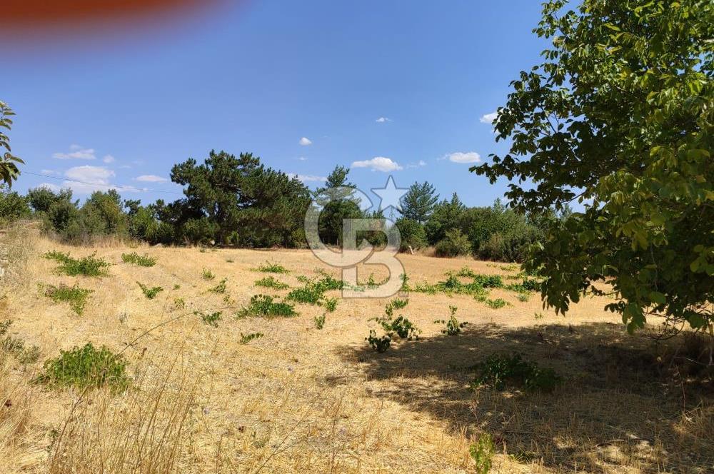 Tavas Kızılcabölük Toplam 8.802 M² Satılık Tarla