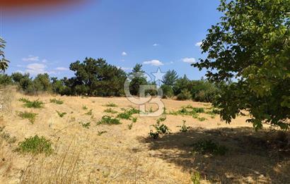 Tavas Kızılcabölük Toplam 8.802 M² Satılık Tarla