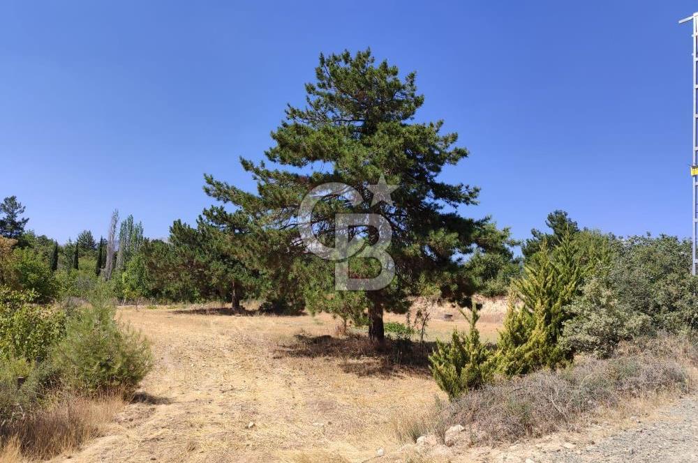 Tavas Kızılcabölük Toplam 8.802 M² Satılık Tarla