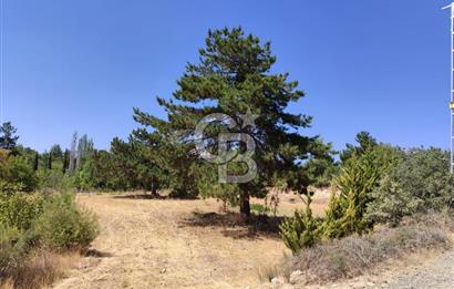 Tavas Kızılcabölük Toplam 8.802 M² Satılık Tarla