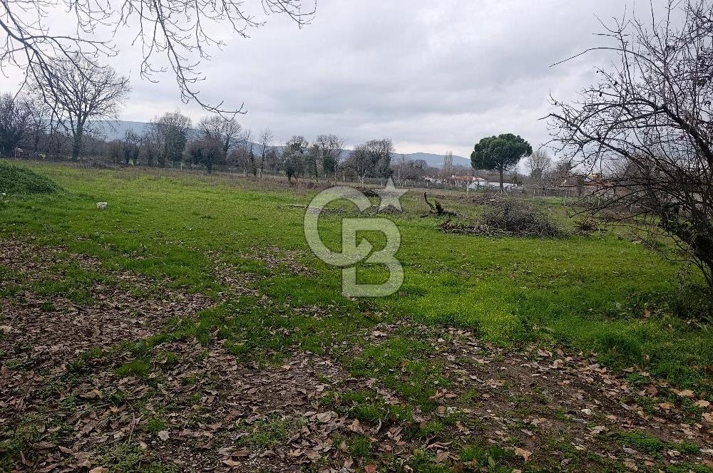 Muğla Menteşe Karabağlar Yaylası'nda Satılık 5455m² Tarla 