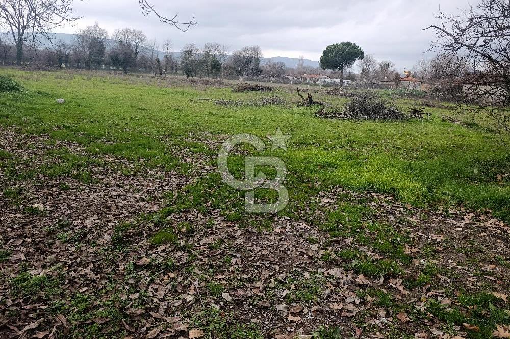 Muğla Menteşe Karabağlar Yaylası'nda Satılık 5455m² Tarla 