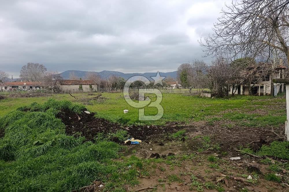 Muğla Menteşe Karabağlar Yaylası'nda Satılık 5455m² Tarla 