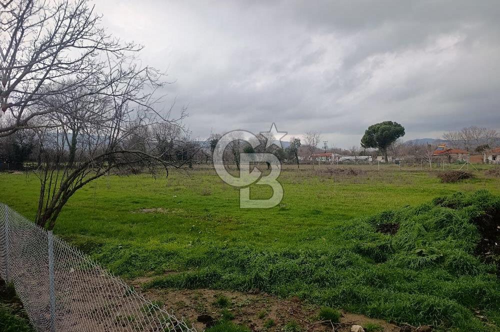 Muğla Menteşe Karabağlar Yaylası'nda Satılık 5455m² Tarla 