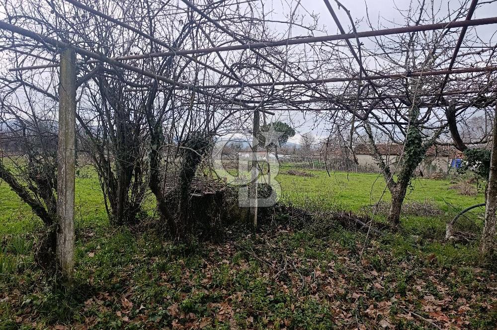 Muğla Menteşe Karabağlar Yaylası'nda Satılık 5455m² Tarla 