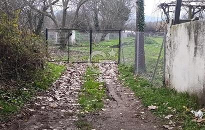 Muğla Menteşe Karabağlar Yaylası'nda Satılık 5455m² Tarla 