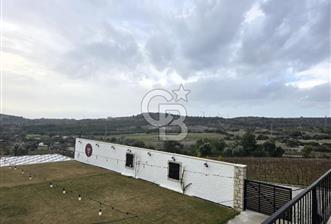 ÇEŞME ÇAKABEY DE SATILIK BAĞ & ZEYTİNLİK - YATIRIM FIRSATI - 8 - 336131