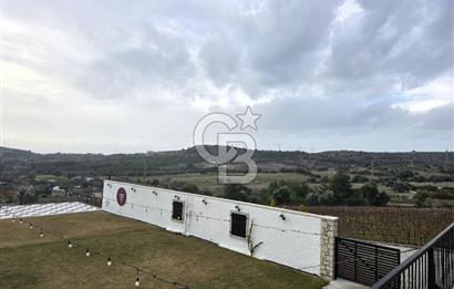 ÇEŞME ÇAKABEY DE SATILIK BAĞ & ZEYTİNLİK - YATIRIM FIRSATI