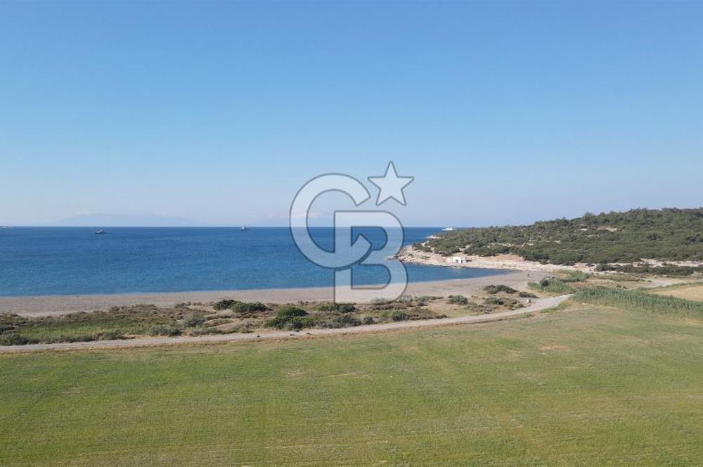 Seferihisar Düzce’de Azmak koyuna yakın Satılık Arazi 8377 m