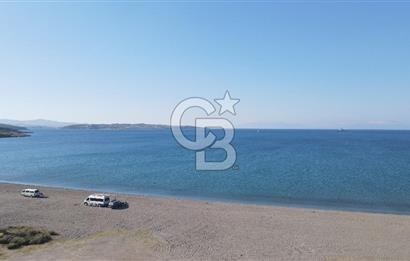 Seferihisar Düzce’de Azmak koyuna yakın Satılık Arazi 8377 m