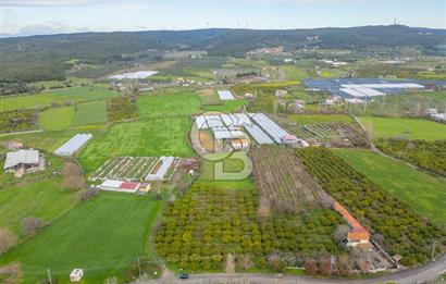 Seferihisar Düzce’de Azmak koyuna yakın Satılık Arazi 8377 m