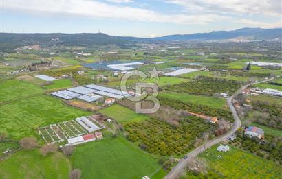 Seferihisar Düzce’de Azmak koyuna yakın Satılık Arazi 8377 m