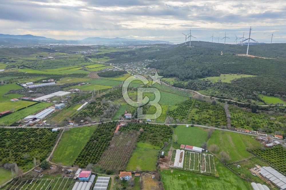 Seferihisar Düzce’de Azmak koyuna yakın Satılık Arazi 8377 m