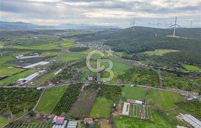 Seferihisar Düzce’de Azmak koyuna yakın Satılık Arazi 8377 m