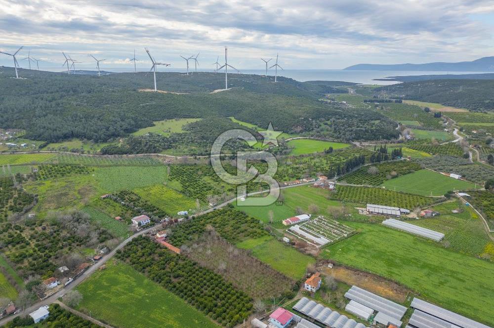 Seferihisar Düzce’de Azmak koyuna yakın Satılık Arazi 8377 m