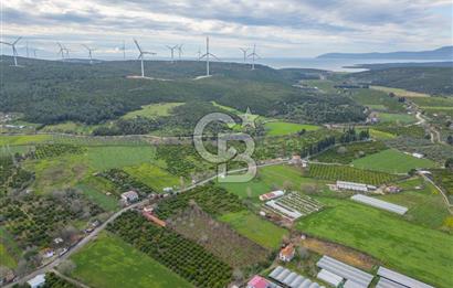 Seferihisar Düzce’de Azmak koyuna yakın Satılık Arazi 8377 m