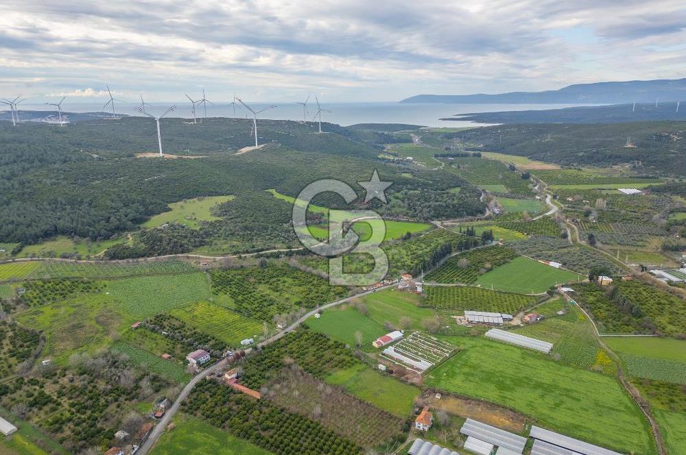 Seferihisar Düzce’de Azmak koyuna yakın Satılık Arazi 8377 m
