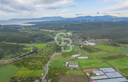 Seferihisar Düzce’de Azmak koyuna yakın Satılık Arazi 8377 m