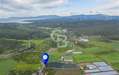 Seferihisar Düzce’de Azmak koyuna yakın Satılık Arazi 8377 m