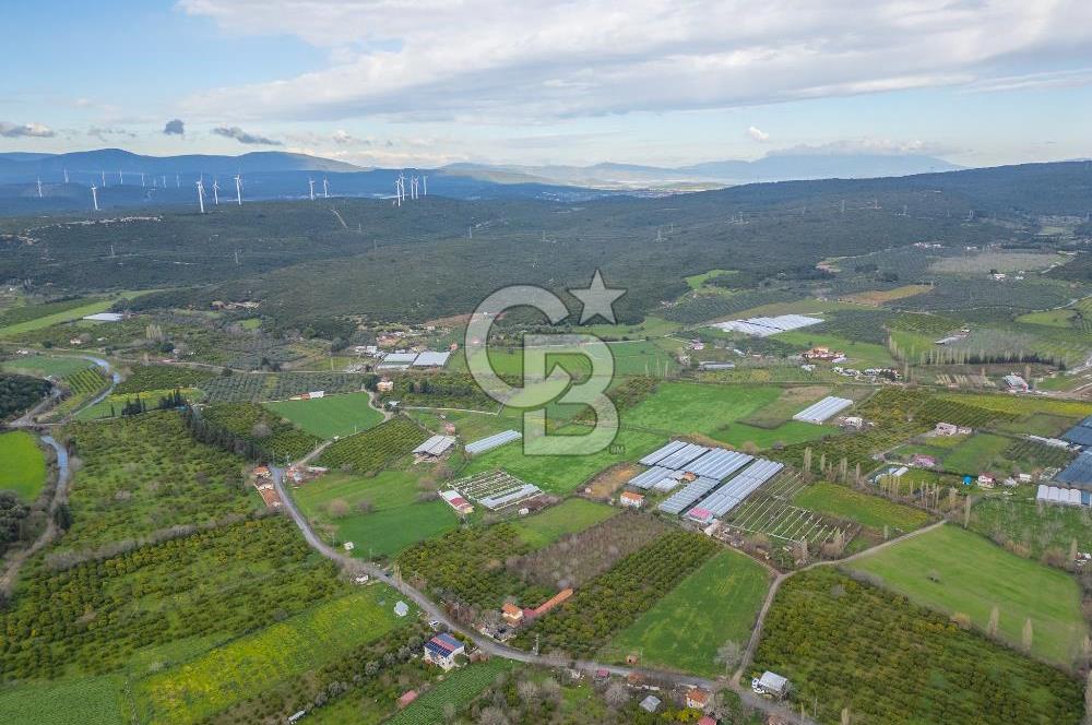 Seferihisar Düzce’de Azmak koyuna yakın Satılık Arazi 8377 m