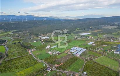 Seferihisar Düzce’de Azmak koyuna yakın Satılık Arazi 8377 m