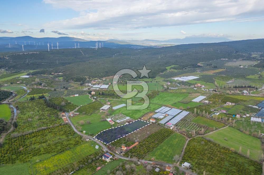 Seferihisar Düzce’de Azmak koyuna yakın Satılık Arazi 8377 m